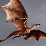 dungeons and dragons