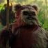 ewok